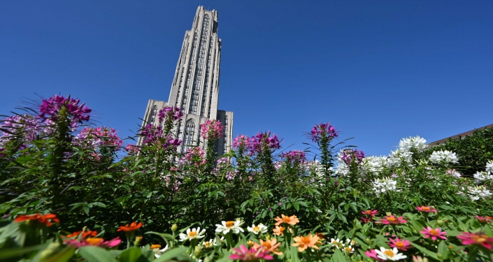 Flowers with Cathedral, photo by Aimee Obidzinski