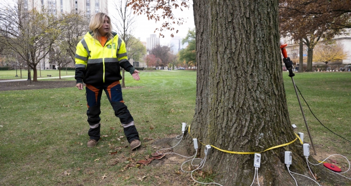 Woman standing next to tree